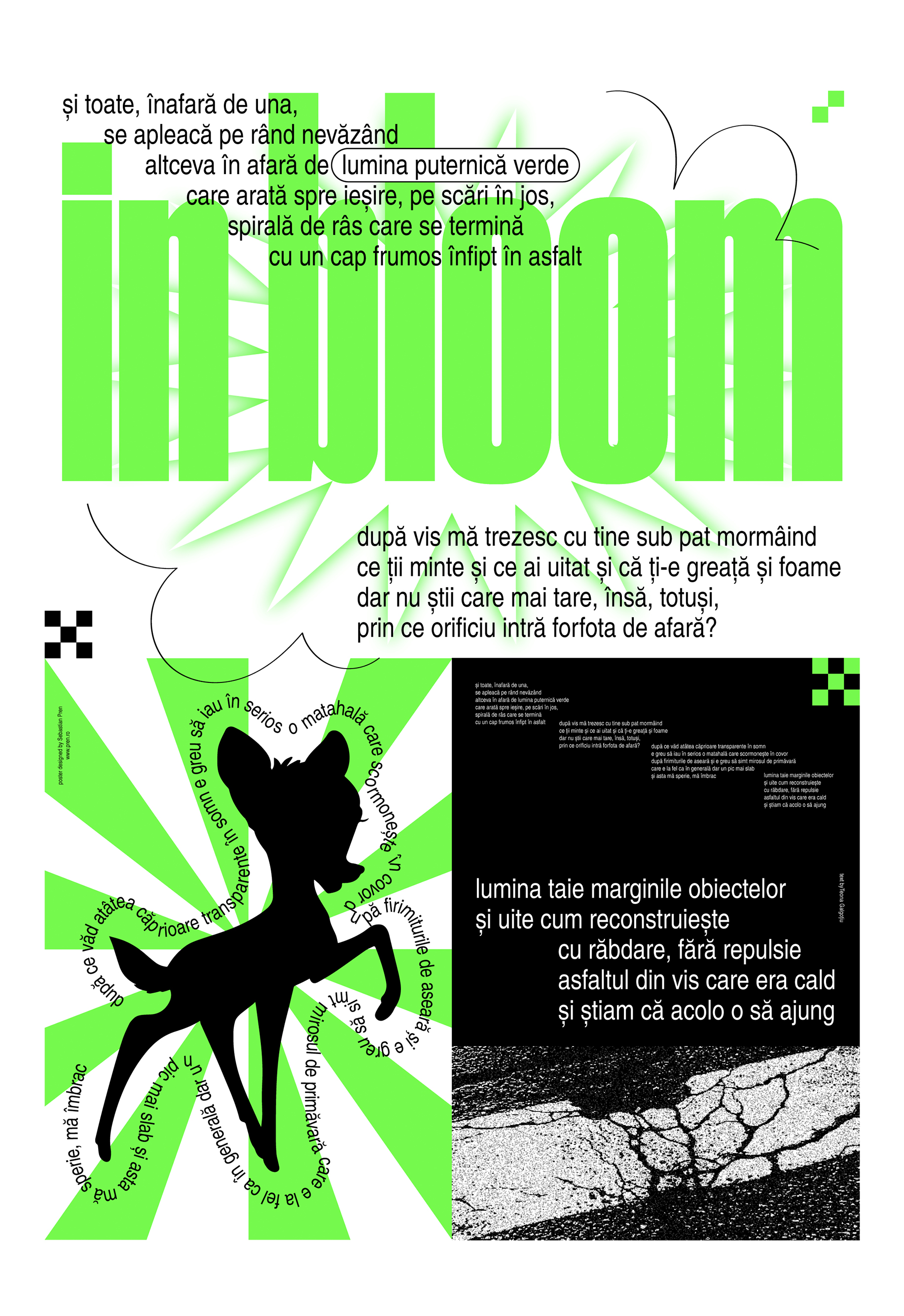 Teona Galgotiu X Sebastian Pren