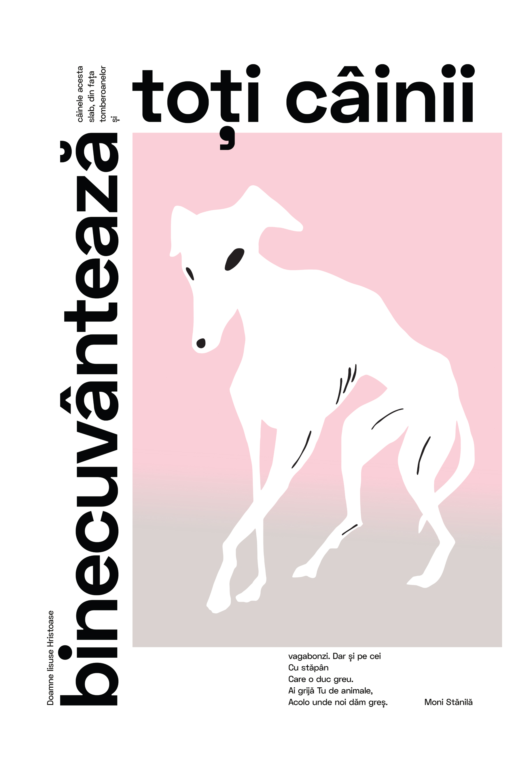 Veronica Gorii X Moni Stanila