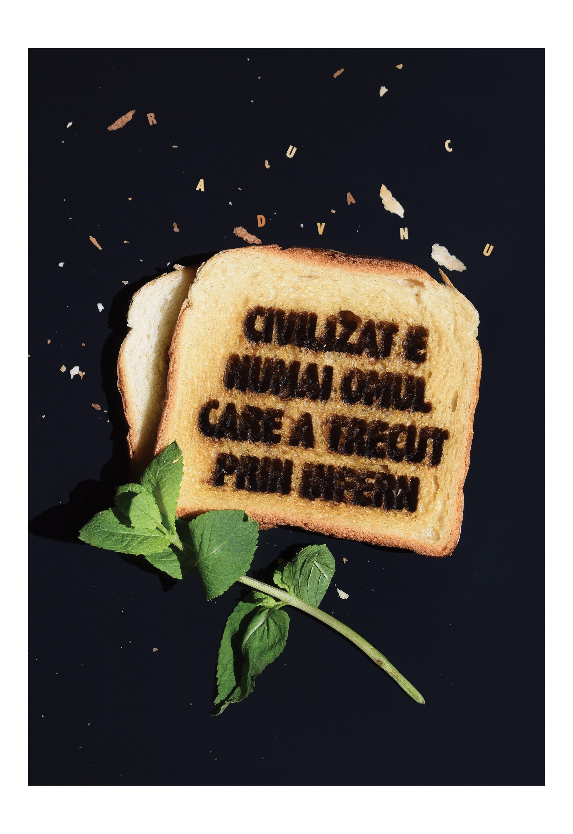 Gelu Florea X Radu Vancu